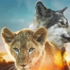 Il lupo e il leone 